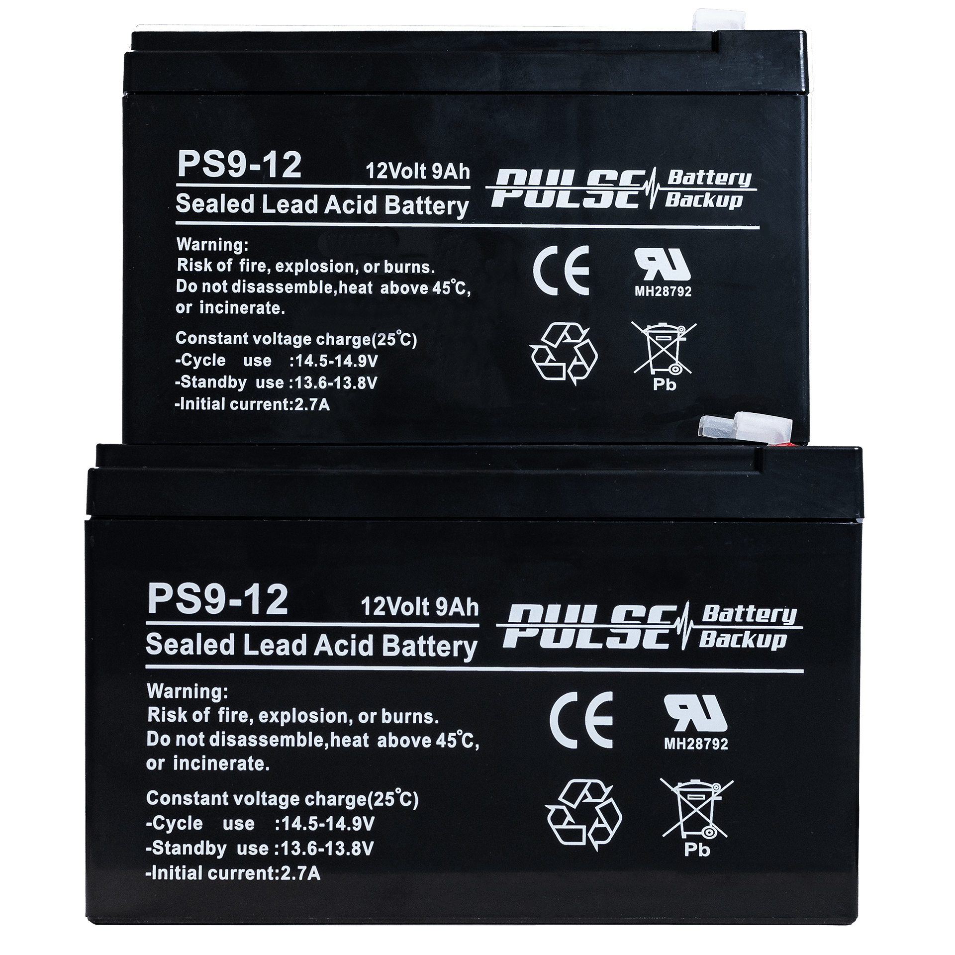 PULSE 1000: Backup Batteries